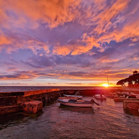 Apartments And Rooms Degra Umag Exterior foto